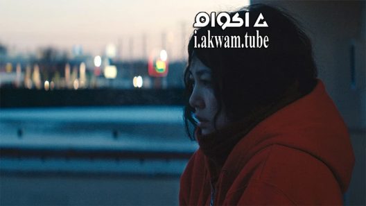 مشاهدة فيلم Kumiko the Treasure Hunter 2014 مترجم