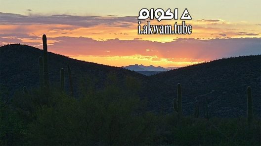 مشاهدة فيلم Misfortune 2016 مترجم