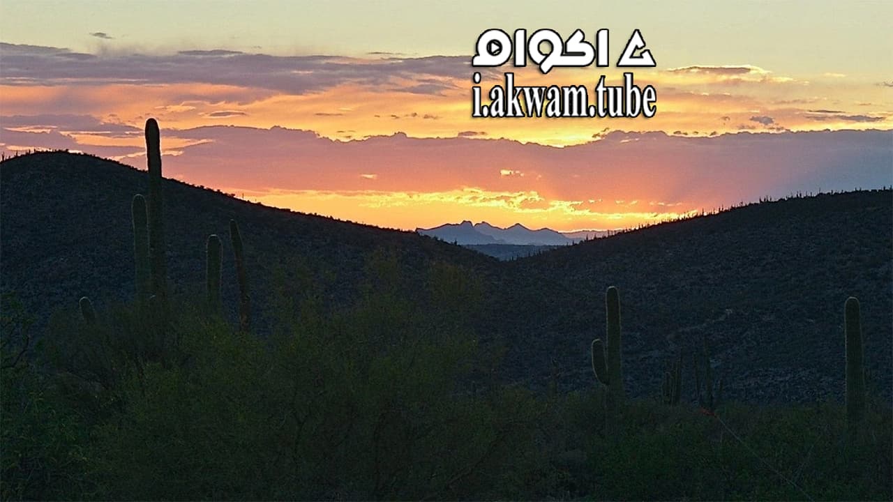 مشاهدة فيلم Misfortune 2016 مترجم