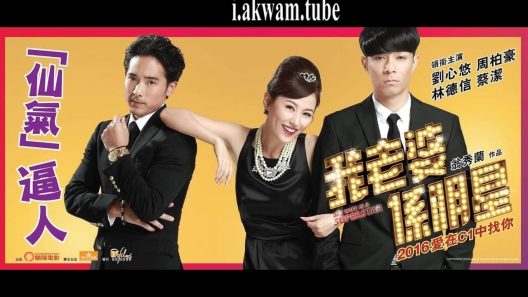 مشاهدة فيلم My Wifes a Superstar 2016 مترجم