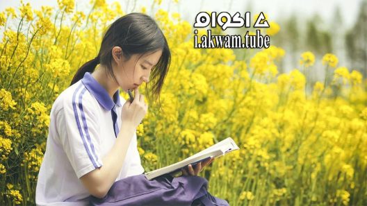 مشاهدة فيلم Never Gone 2016 مترجم