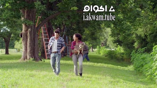 مشاهدة فيلم Night of the Wild 2015 مترجم