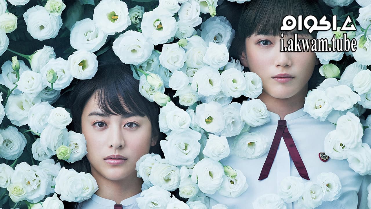 مشاهدة فيلم Nights Tightrope 2016 مترجم