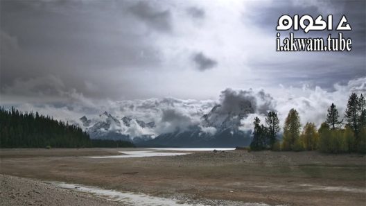 مشاهدة فيلم Population Zero 2016 مترجم