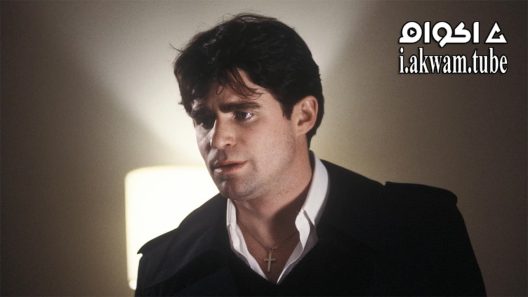 مشاهدة فيلم Prince of the City 1981 مترجم