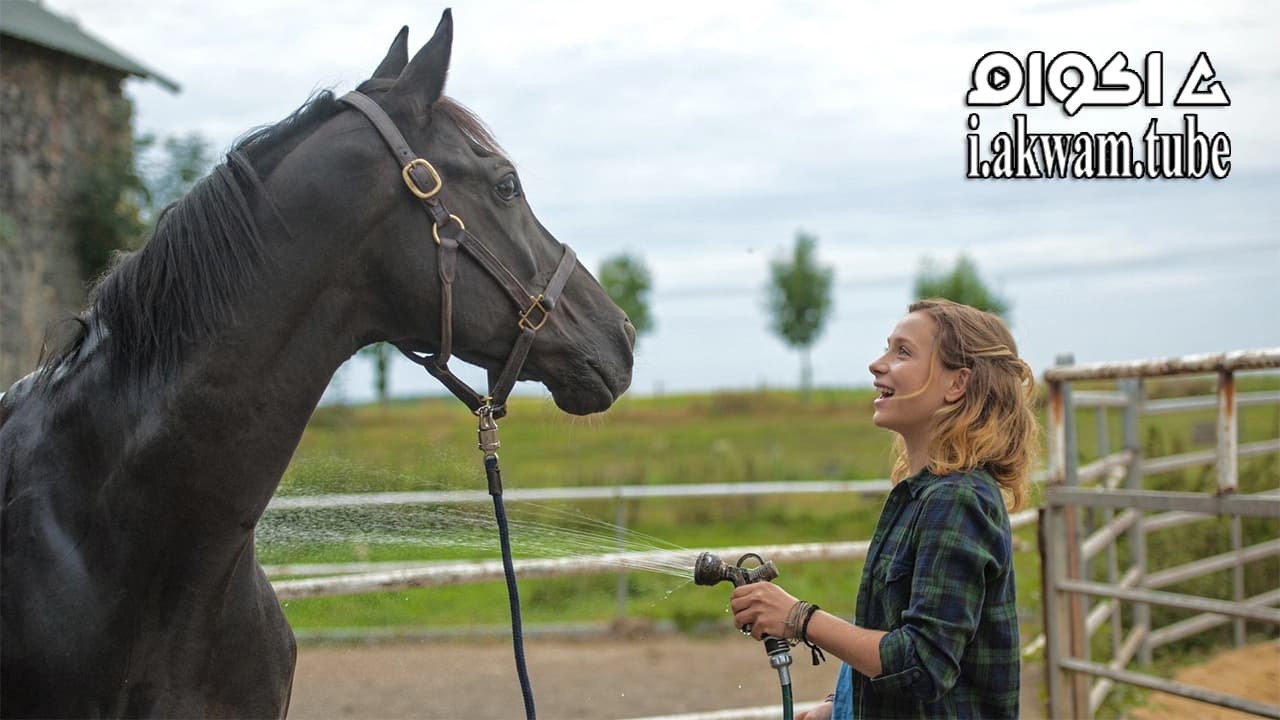 مشاهدة فيلم Rock My Heart 2017 مترجم