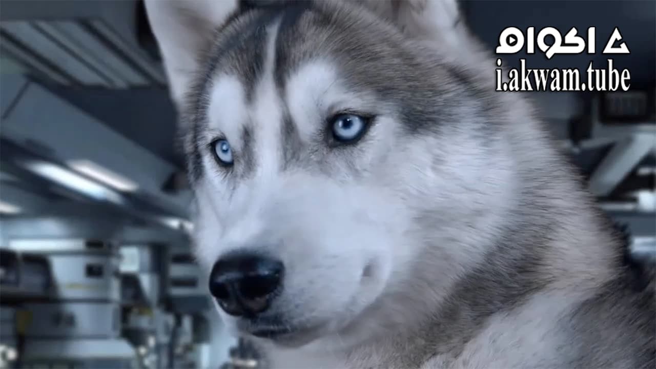 مشاهدة فيلم Star Paws 2016 مترجم