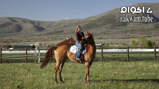 مشاهدة فيلم Storm Rider 2013 مترجم