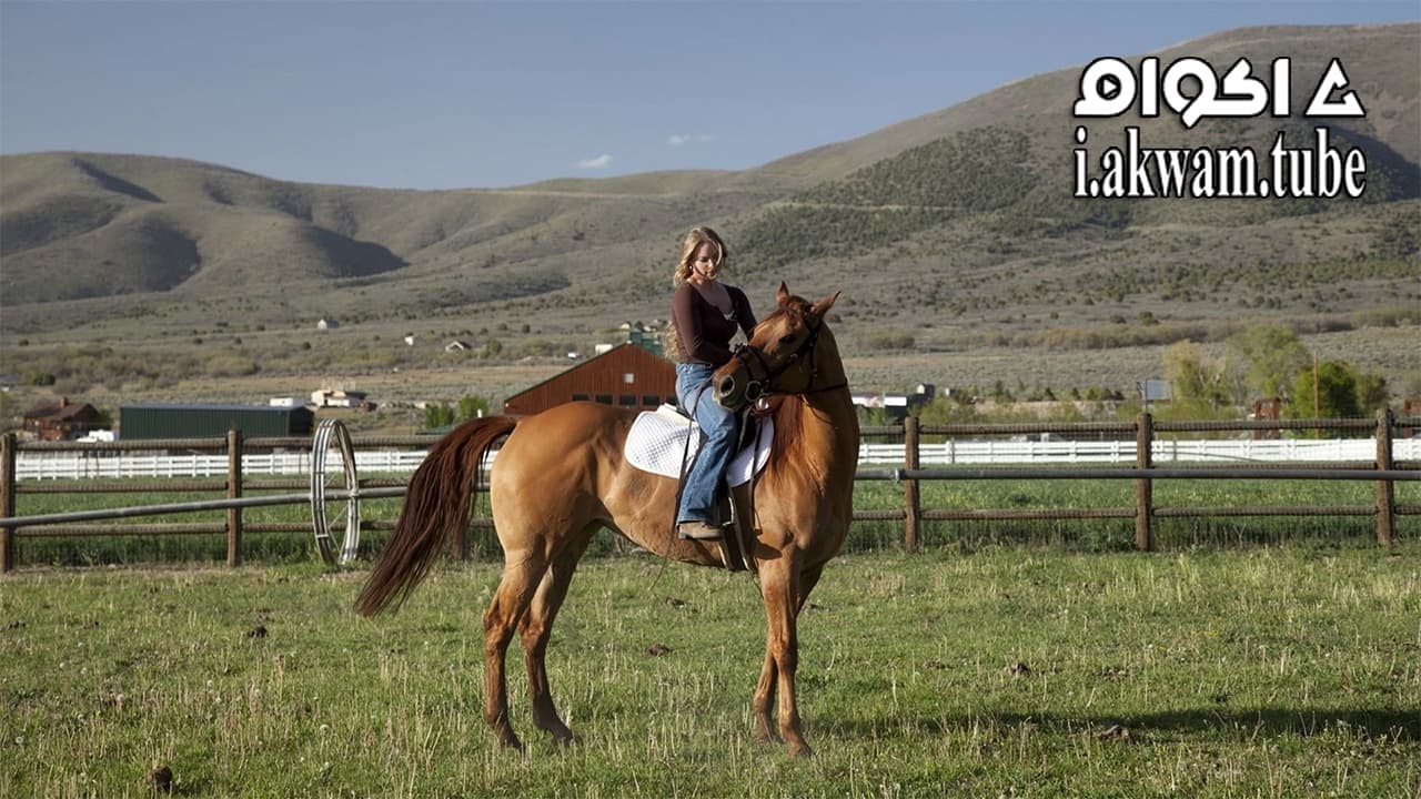 مشاهدة فيلم Storm Rider 2013 مترجم