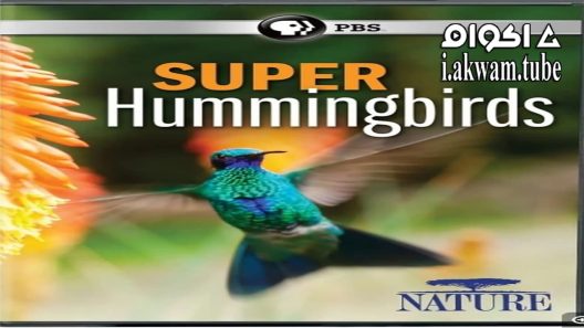 مشاهدة فيلم Super Hummingbirds 2016 مترجم