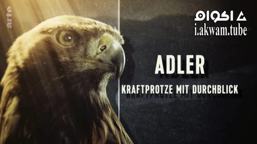 مشاهدة فيلم Super Powered Eagles 2020 مترجم