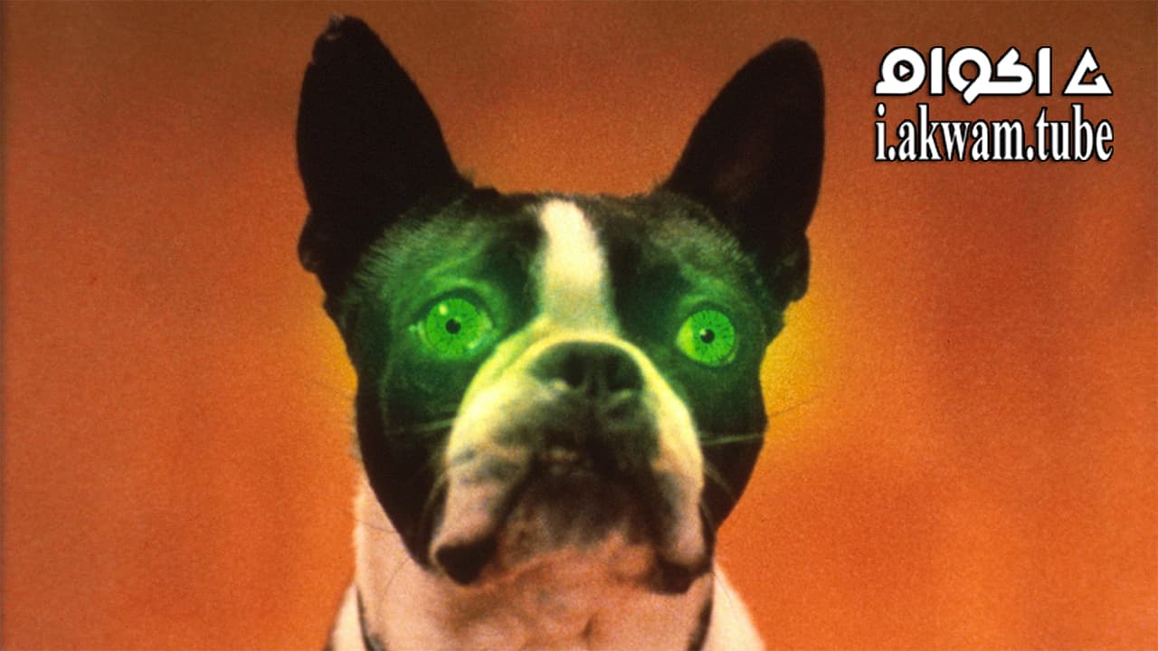 مشاهدة فيلم The Convent 2000 مترجم