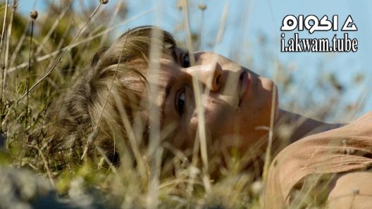 مشاهدة فيلم The High Sun 2015 مترجم