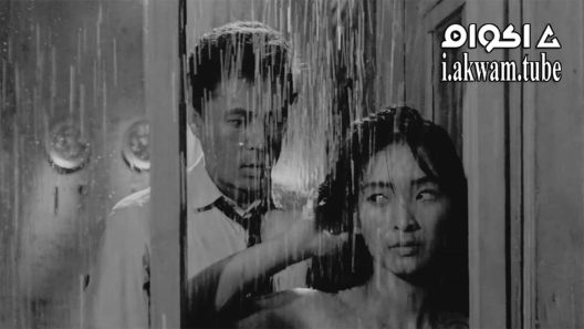 مشاهدة فيلم The Housemaid 1960 مترجم