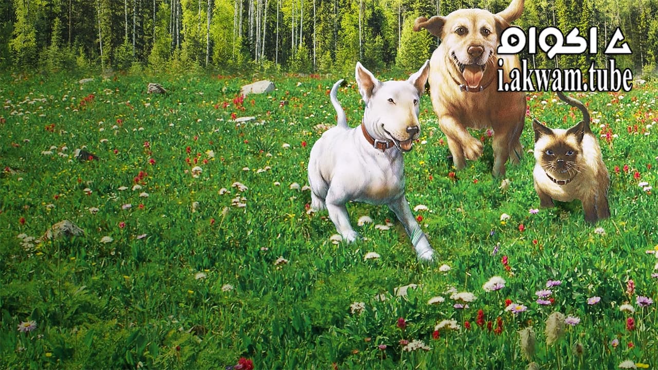 مشاهدة فيلم The Incredible Journey 1963 مترجم