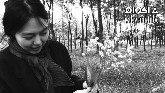 مشاهدة فيلم The Novelists Film 2022 مترجم