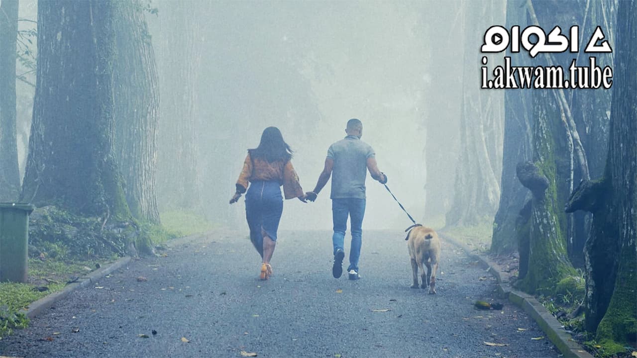 مشاهدة فيلم The Perfect Picture Ten Years Later 2019 مترجم