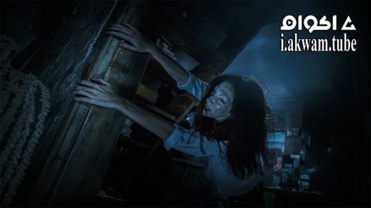 مشاهدة فيلم The Tag-Along 2 2017 مترجم