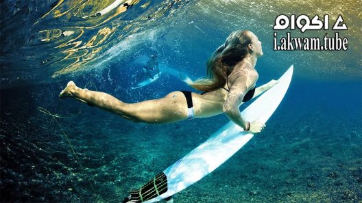 مشاهدة فيلم The Tribes of Palos Verdes 2017 مترجم