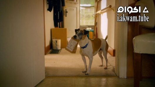 مشاهدة فيلم Treasure Hounds 2017 مترجم