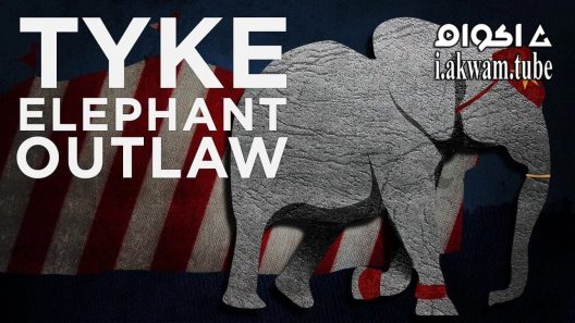 مشاهدة فيلم Tyke Elephant Outlaw 2015 مترجم
