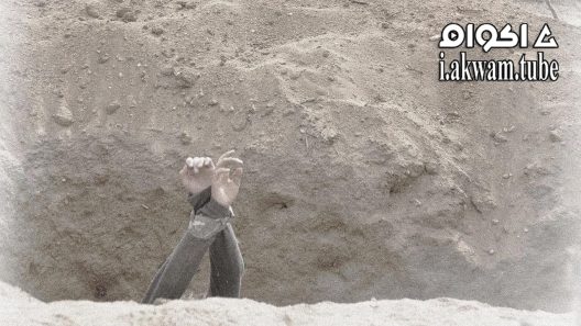 مشاهدة فيلم Valley of Ditches 2017 مترجم