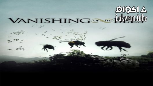مشاهدة فيلم Vanishing of the Bees 2009 مترجم