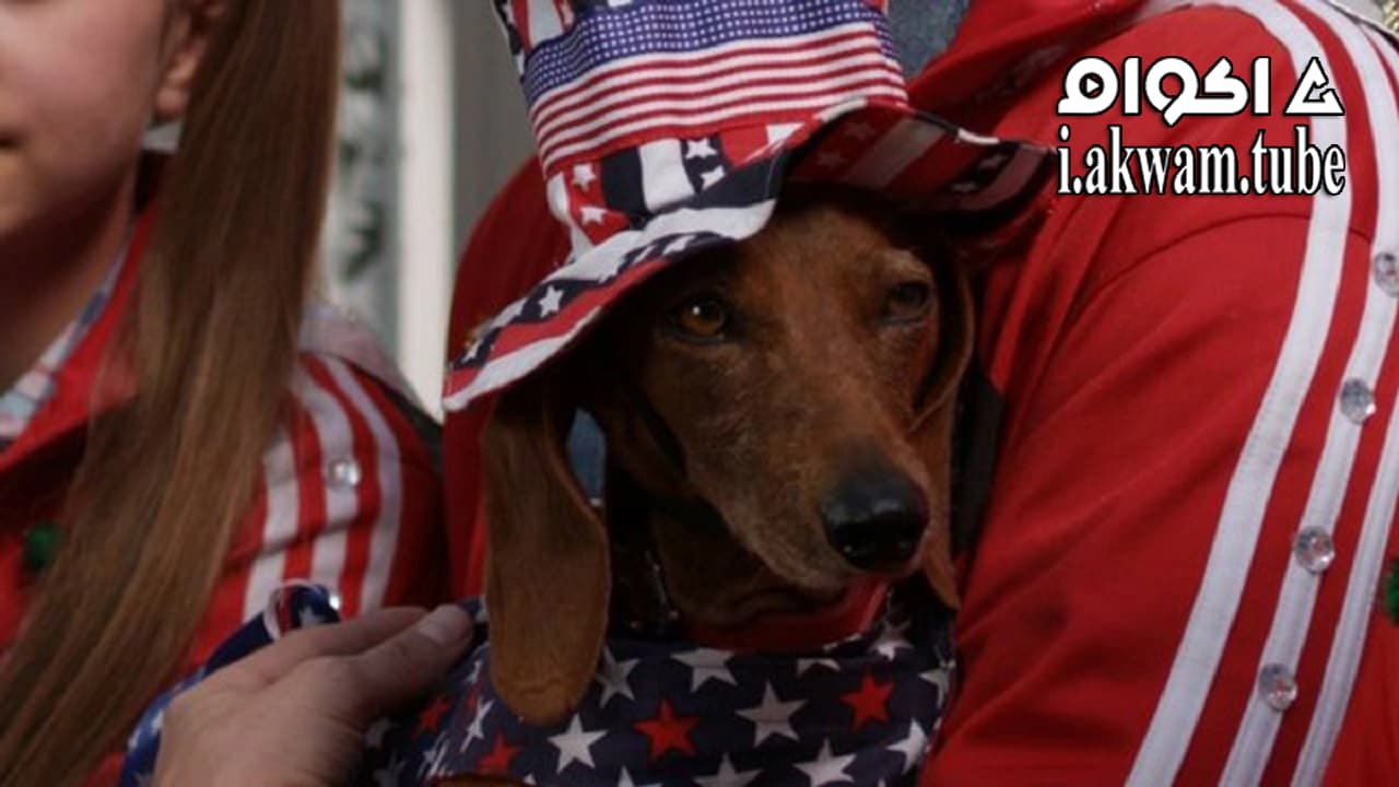 مشاهدة فيلم Wiener Dog Internationals 2015 مترجم