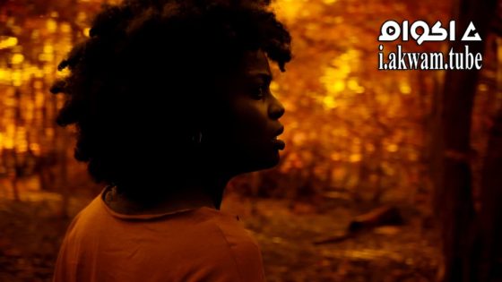 مشاهدة فيلم A Song from the Dark 2023 مترجم