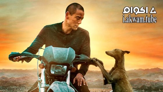 مشاهدة فيلم Black Dog 2024 مترجم