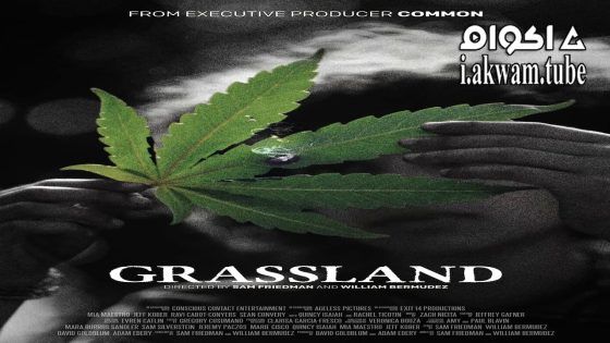 مشاهدة فيلم Grassland 2024 مترجم