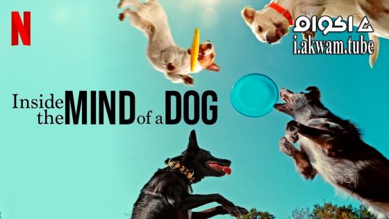 مشاهدة فيلم Inside the Mind of a Dog 2024 مترجم