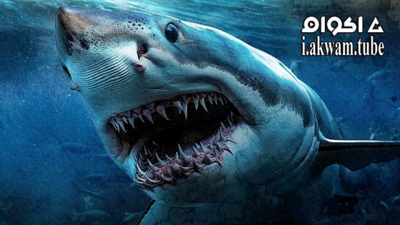 مشاهدة فيلم Shark Island 2024 مترجم