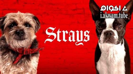 مشاهدة فيلم Strays 2023 مترجم