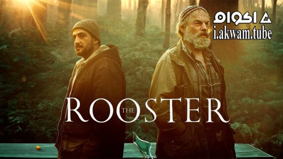 مشاهدة فيلم The Rooster 2023 مترجم