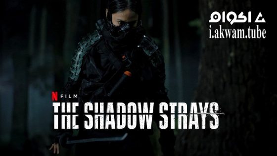 مشاهدة فيلم The Shadow Strays 2024 مترجم