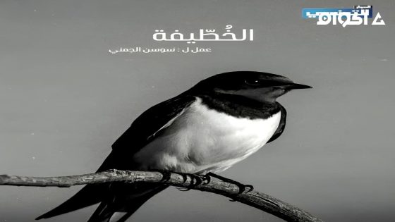 مشاهدة مسلسل الخطيفة الحلقة 2 الثانية